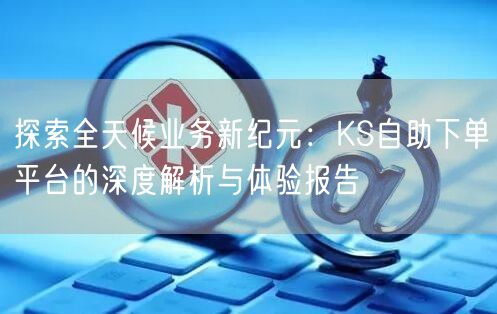 探索全天候业务新纪元：KS自助下单平台的深度解析与体验报告