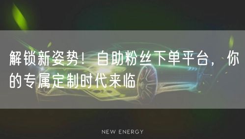 解锁新姿势！自助粉丝下单平台，你的专属定制时代来临