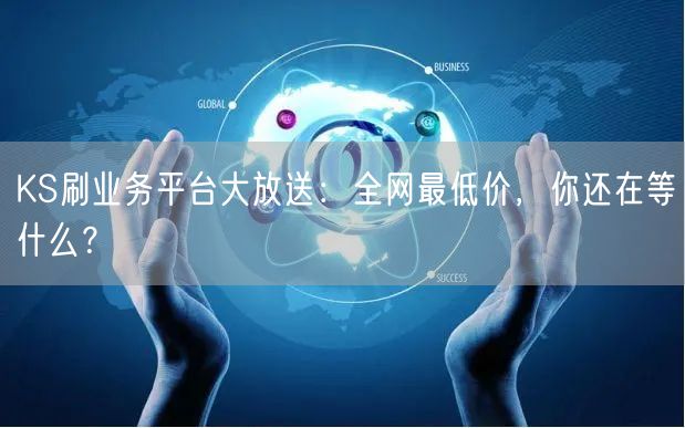 KS刷业务平台大放送：全网最低价，你还在等什么？