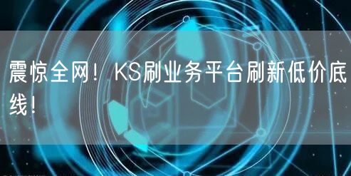 震惊全网！KS刷业务平台刷新低价底线！