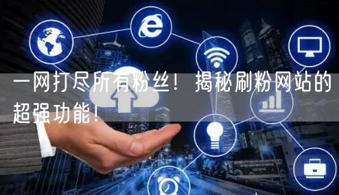 一网打尽所有粉丝！揭秘刷粉网站的超强功能！